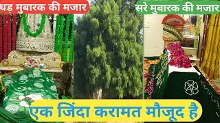 Ajmer sharif | mithe neem vale baba ki dargah | zinda karamat mazar sharif me maujud hai