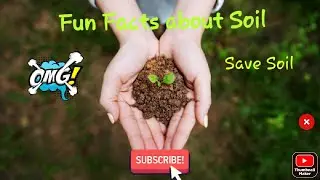 Fun Facts about Soil