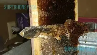 The purest Honey possible. Extraction of awesome Quality?  4 minutes of Cravings