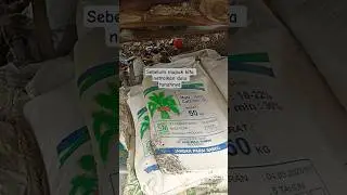 Pemupukan terbaik di awali dolomit/kapur