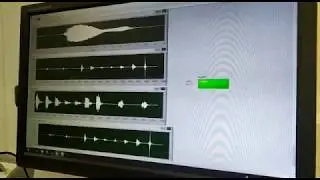 Seagull Audio Detection