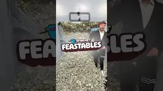 Buy Feastables 🍫 Win 💸 Unlimited Cash!