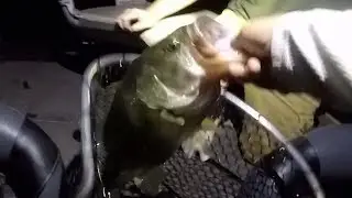 Harvey's Lake Friday Nighter Fishing Tournament
