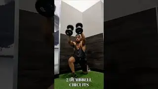 2 Dumbbell Circuits #fitness #workout #gym #shorts #gymshorts #fullbodyworkout