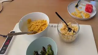 Honest Review of Adjustable Electric Warming Mat for Food
