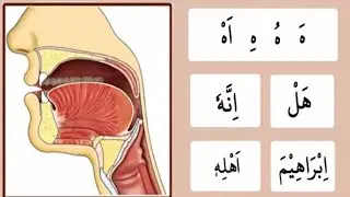 Haroof-E-Tahjee | Harf (ه) | learn how to pronounce Arabic letter #haa in an easy way in Urdu #ه#haa