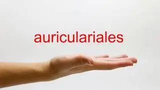 How to Pronounce auriculariales - American English