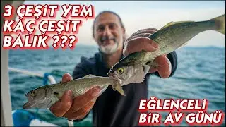 Çapari, Teke, Karides ve Hamsiyi Yem Yaptık - Kaç Çeşit Balık Aldık ?