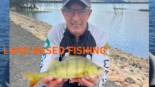 Redfin from the bank on lures