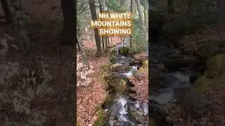 Showing a 500 acre estate  Manchester NH Realtor Mark Lynch