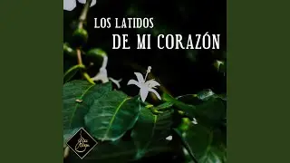 Procura No Volver