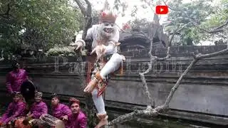 SUBALI, SUGRIWA dan HANOMAN beradu kekuatan di ANJUNGAN BALI, TMII