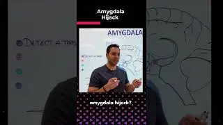 Похищение миндалевидного тела