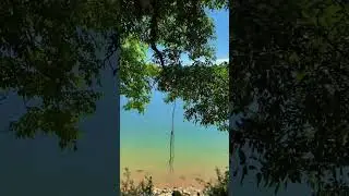 Mansar ❤️ | Samba | Jammu and Kashmir | Like | Subscribe