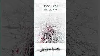 OnceI Died - Digital Scar