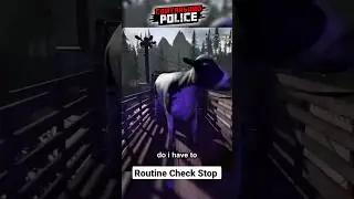 Routine Check Stop Contraband Police