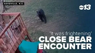 Asheville woman recounts backyard bear encounter
