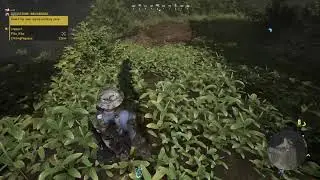 Do you think you can dive?