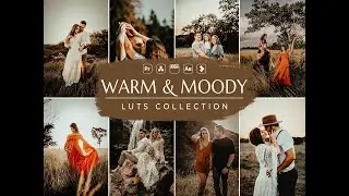 Warm and Moody LUTs | Moody Lightroom Presets | Moody Presets | Moody Presets for Lightroom |