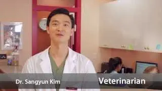 Champlain Animal Clinic - Short | Vancouver, BC