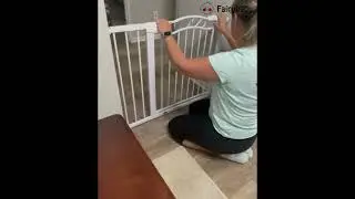 Upgrade Your Space with the Ultimate Tall Gate!