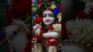 #bhakti #shorts #iskcon #vrindavan #bhajan #krishnabhajan #bakebihari