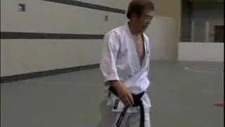 Interview with a karate legend. H. Kanazawa, 10th Dan.