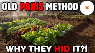 The 1890 Paris Secret: How to Grow 4x More Food on the Same Land
