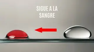 ¿Por qué este líquido se siente atraído por la sangre?