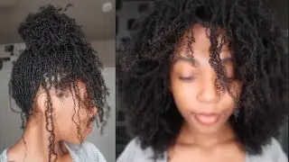 REGRETS? MISTAKES? Why not Traditional Locs? | Microlocs Tag