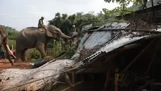 Indian police use elephants to evict illegal settlers