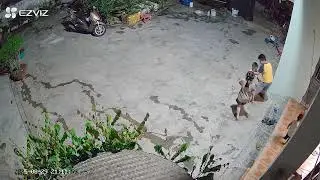 Cái kết 
