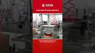 Automatic Opening Packing Sealing Machine, Bottle Packing Machine, Carton Packaging Machine - Sunter