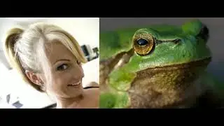 🐸, val malone, Frosch, porn, grenouille, rana, varlė, żaba, ž&aacute;ba, жаба, varde
