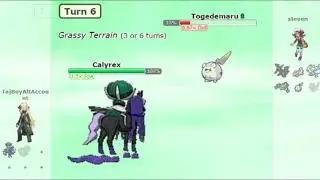 calyrex sweep (Pokemon Showdown)