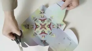 Modern Sprout's Cosmic Seed Kit - Setup Video