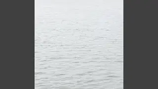 Analog White Noise