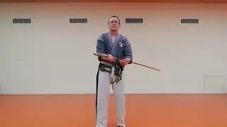 Ia&iuml; Yoseikan Budo