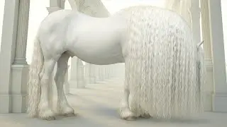 15 Most Beautiful Horses On Planet Earth