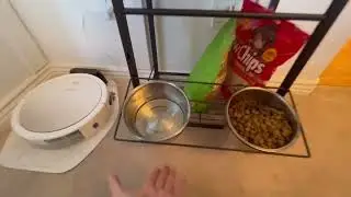 Why I love this Dog Feeding Station with Dog Toy Storage Basket