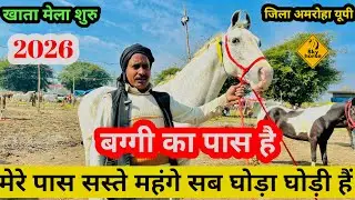 बग्गी का पास है मेरा घोड़ा | #Khatamela2026