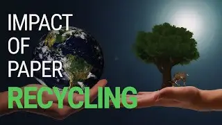 The impact of paper recycling