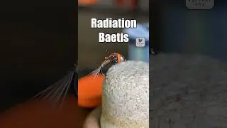 Radiation Baetis | Fly Tying Tutorial