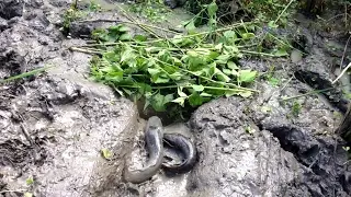 Amazing Deep Hole Fishing - How to fishing with deep hole - Cambodia Traditional Fishing
