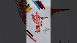 creative bird drawing by red pen😱🐦❤😍#shorts
