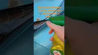 My favorite spray Weapon of mass destruction 🚀 against bird 💩 and insects 🪰 on my car