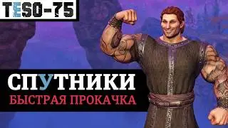 СПУТНИКИ: быстрая прокачка уровней и отношений на ивенте. Система подарков и рейты. TESO(2026)