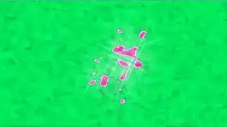 An Audio I'll Call 2 New Tamal Effect Combo
