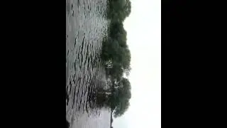 hanook sunny rescue rain affecting people