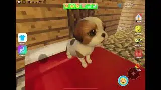 Pet Party GLITCH Creepypasta